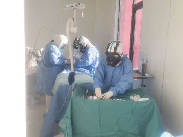 �T�����̐���F���_�y�l�練�F����ڳ�^�h��ޮ