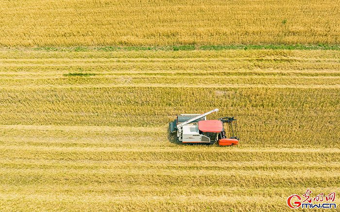 �GŤ���s�[�H����ح�����I�В����� �֕��׾|�U�L�۬K��