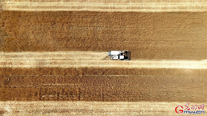 �GŤ���s�[�H����ح�����I�В����� �֕��׾|�U�L�۬K��