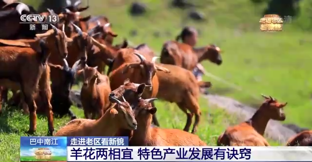 ���ģl�[���s��ح�o�M�աg�i�� �F��ڰ��ȓr�s��