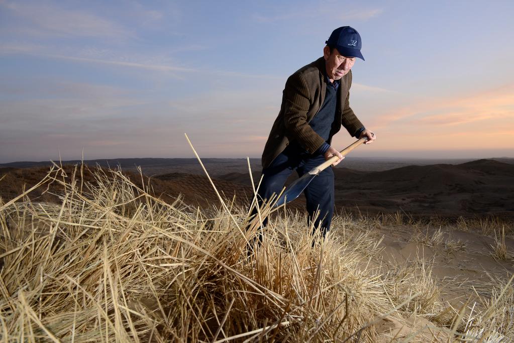 �ݐ�2013�e11��19��ޕ_�V�K�I��Q�^���z�Y�����������s�a�_�~�k�_�u��