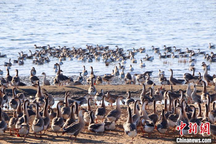 �����طs�������S�g�l�Z��g�K���U