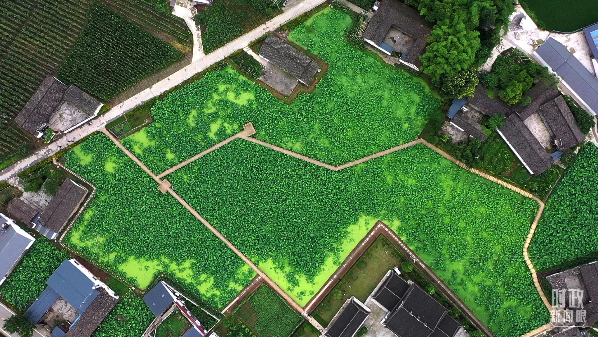 r@ҥíە~kNw祧 r@ҥíە~kNw祧