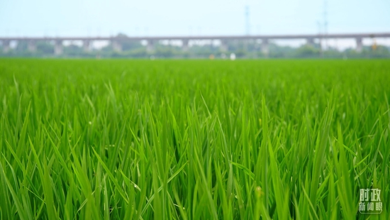 ríەYħDϥА奡^~k祧