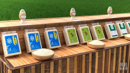 ríە|YNgΣP奡^~kJ_祧