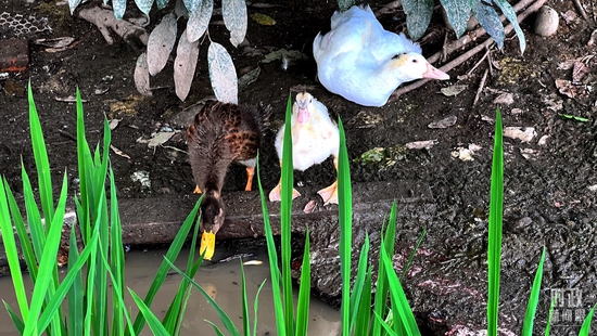 ríەY攩ͬaD奡^~kksʩ祧