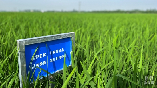 ríەYQА奡^~kө祧