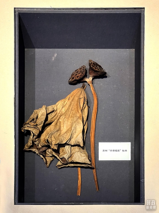 rqFάwYLѨjߡ奡^~kksʩ祧