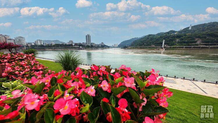 �Ȳ{�s���yح�����������o�����ϐ޵��������óo�v���E���D