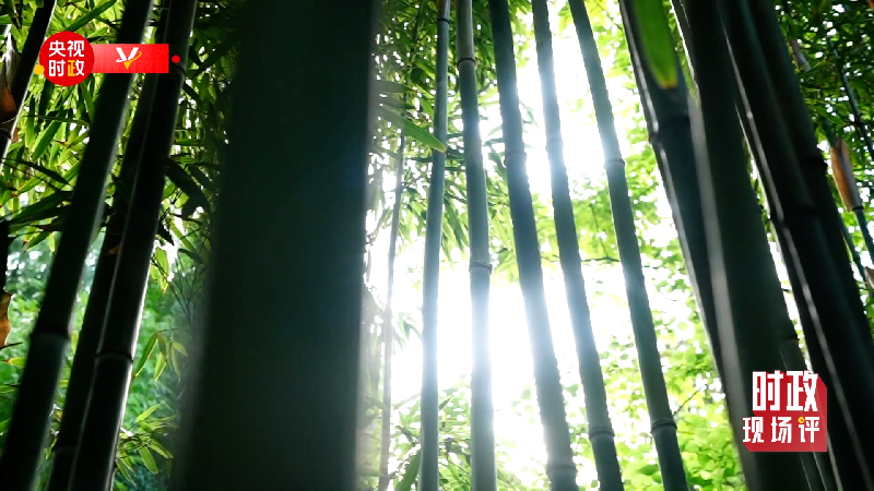 Ȳ{}콺حH~Y} ՒqFԪFYYߒs