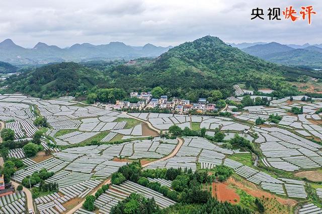 ���^�ֽ�ح潒��߹L�s��i�~�u �h���W�ͷs��i�姽