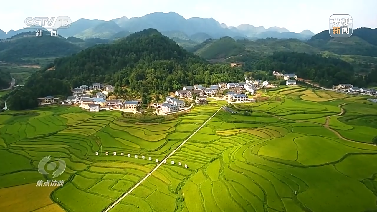 �J�����ح�աg�H�D�r�r���{�����\���J�_�~��