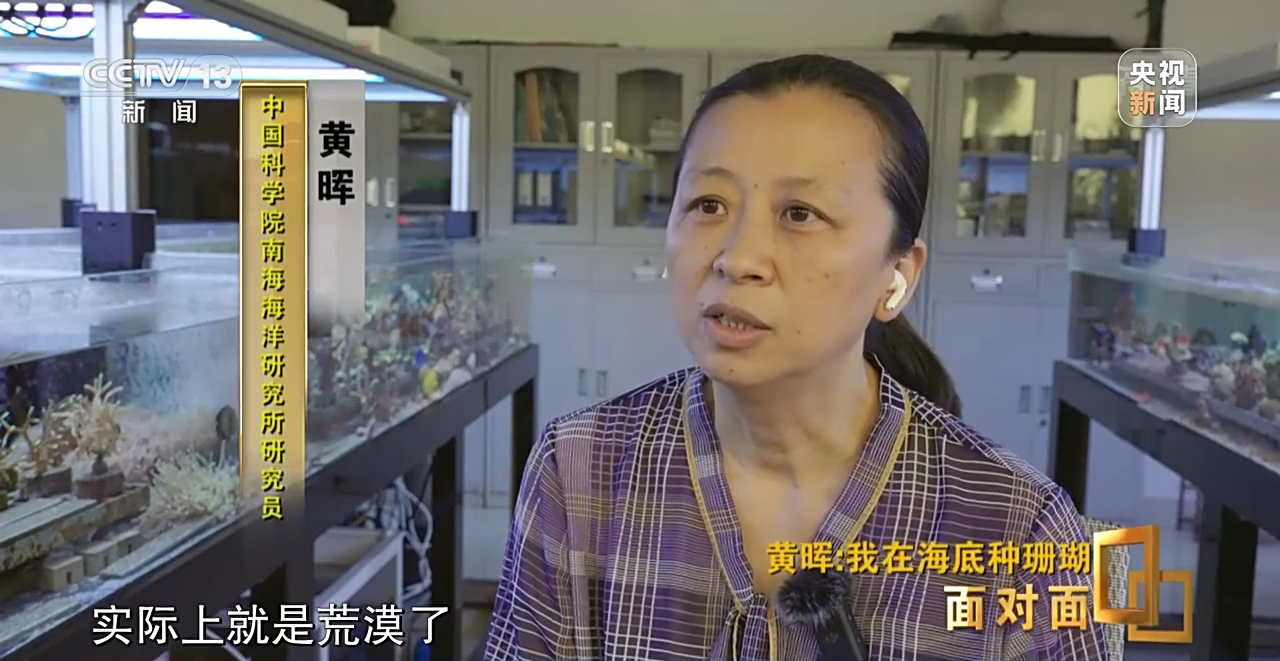 �����ح�L�~���|�|���W�`��P�|�Õ[�L������ҧ��