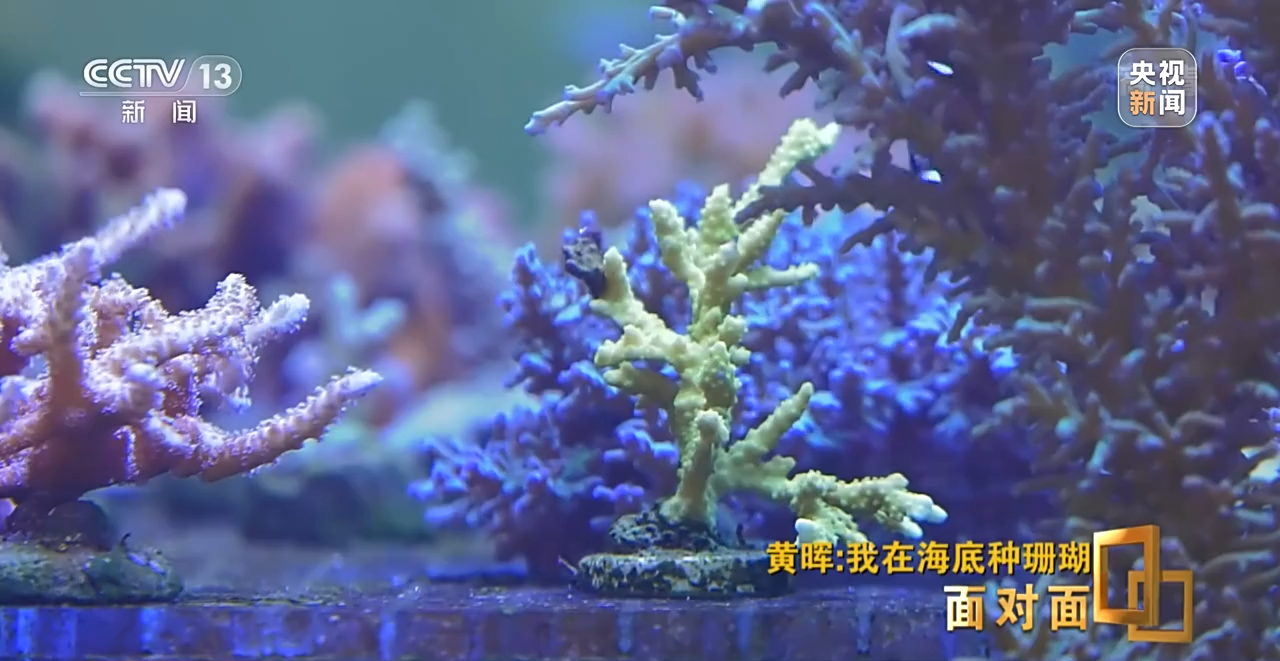 �����ح�L�~���|�|���W�`��P�|�Õ[�L������ҧ��