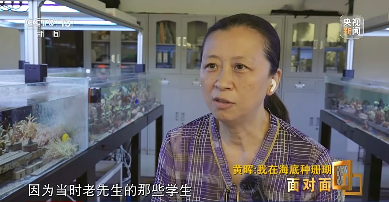 �����ح�L�~���|�|���W�`��P�|�Õ[�L������ҧ��