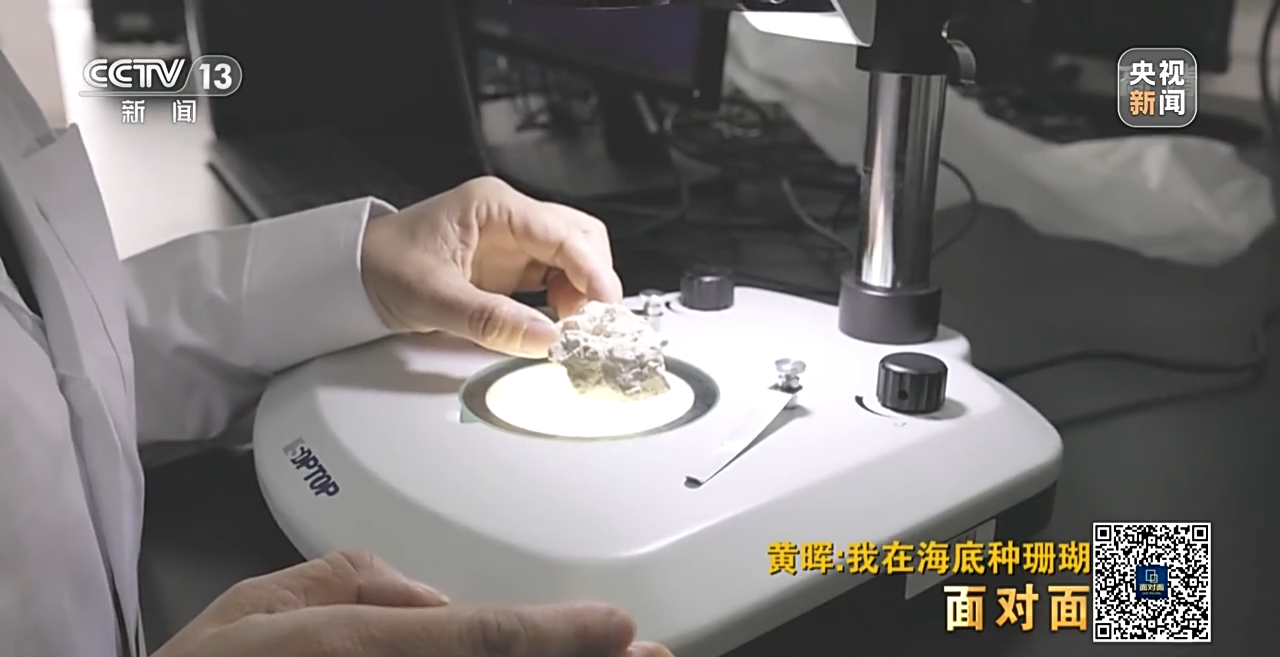 �����ح�L�~���|�|���W�`��P�|�Õ[�L������ҧ��