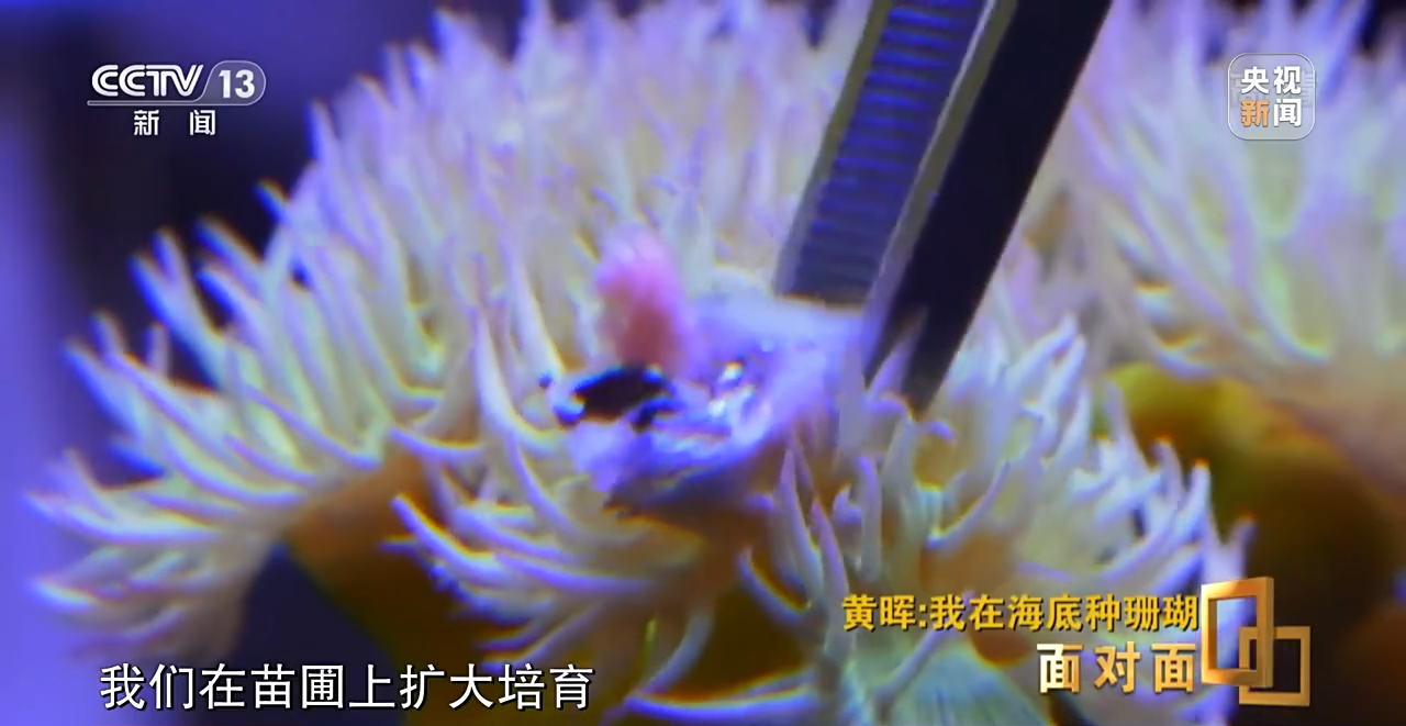 �����ح�L�~���|�|���W�`��P�|�Õ[�L������ҧ��