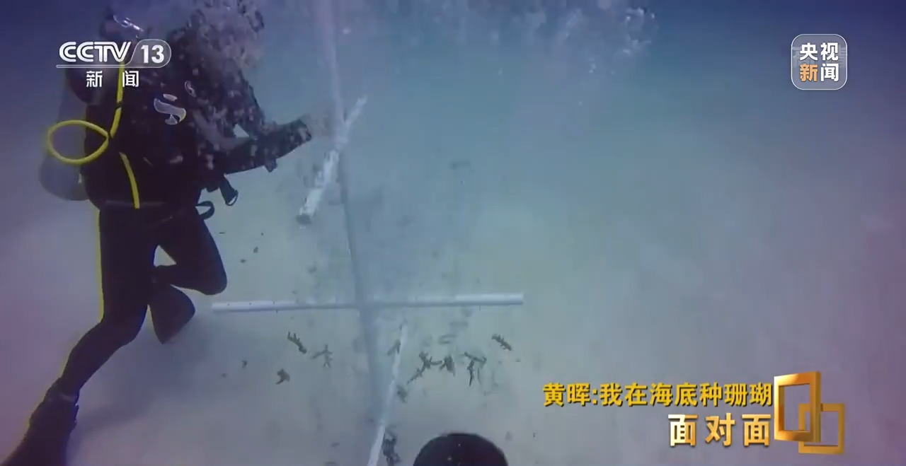 �����ح�L�~���|�|���W�`��P�|�Õ[�L������ҧ��