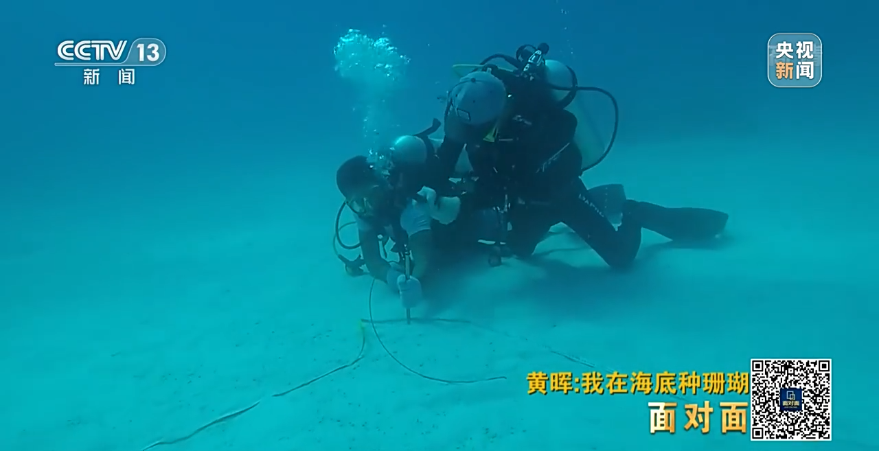 �����ح�L�~���|�|���W�`��P�|�Õ[�L������ҧ��