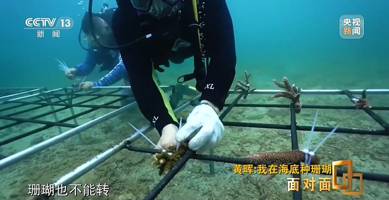 �����ح�L�~���|�|���W�`��P�|�Õ[�L������ҧ��