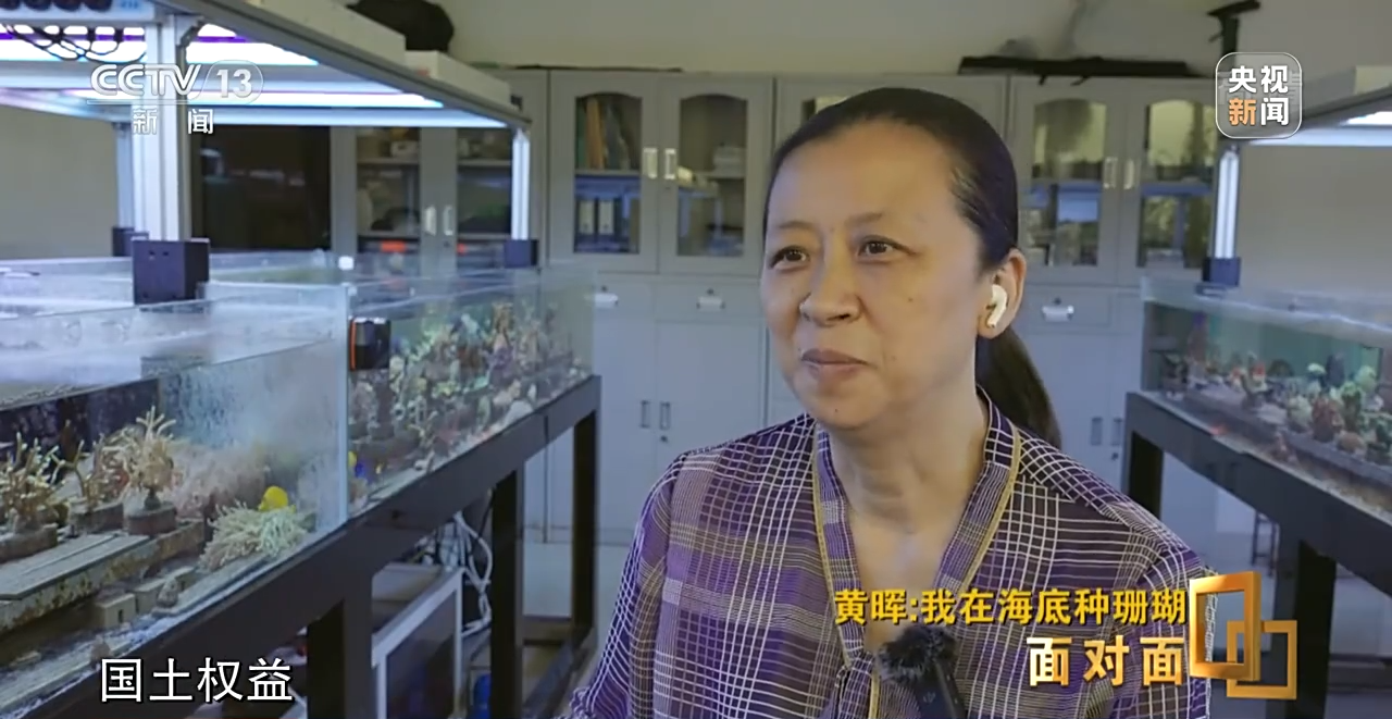 �����ح�L�~���|�|���W�`��P�|�Õ[�L������ҧ��