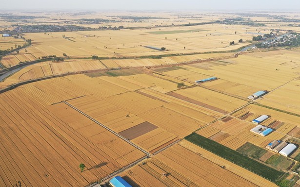 �ϥ���p���ϥ�����䤤ä�|���sá�q�}����