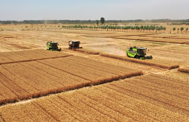 �ϥ���p���ϥ�����䤤ä�|���sá�q�}����