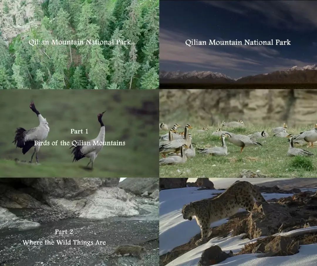 ��ä���I�e�e������ֻ��[�I�A�˾�