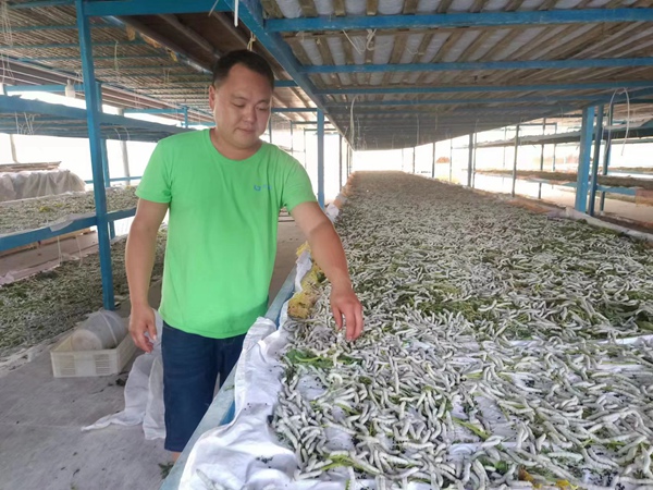 ��ħ�ե��I�i���i�M�ߥ�