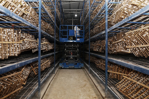 �������z�I��L�O��त�������֣���