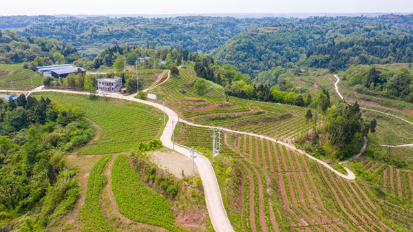 ����P�q�H�H�Шҥʐत�������֣���