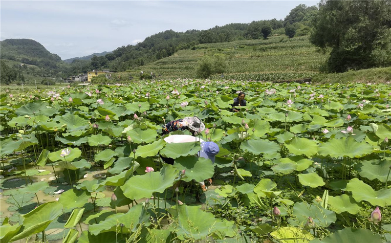 �G�I�����Y���v�ڑH�鯾�^�V��áL�����áL�ԡ�ø�׭P����