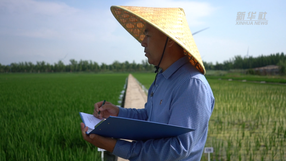 �s�a�^���ñĶP ��Ť�L����