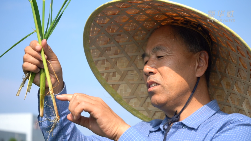 �s�a�^���ñĶP ��Ť�L����