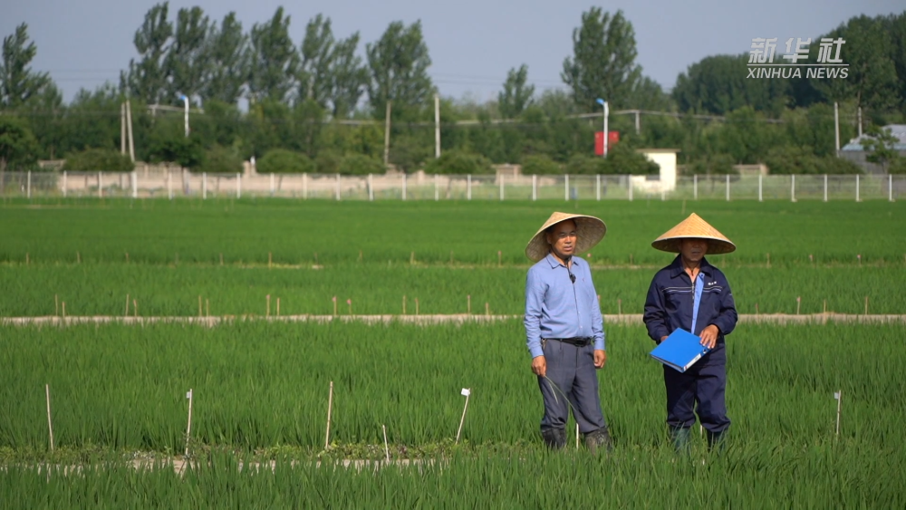 �s�a�^���ñĶP ��Ť�L����