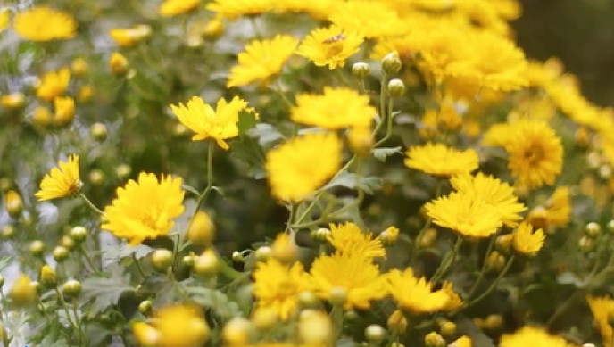 GIФäёHҨYuuޔɵzސ