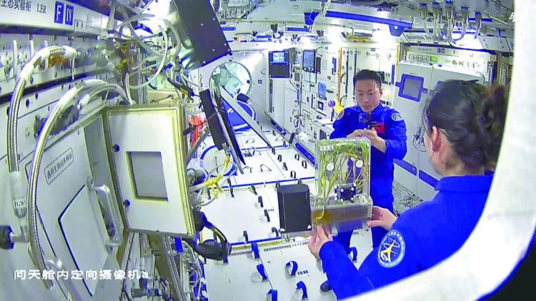 �ʒԒ��v�d���Ēã��˨Ӥ�ä�Y���