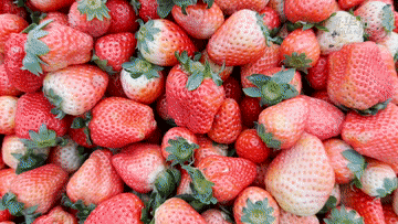 �e�樽�Y��ä|�L�ܡ��|�L�˾x�桲