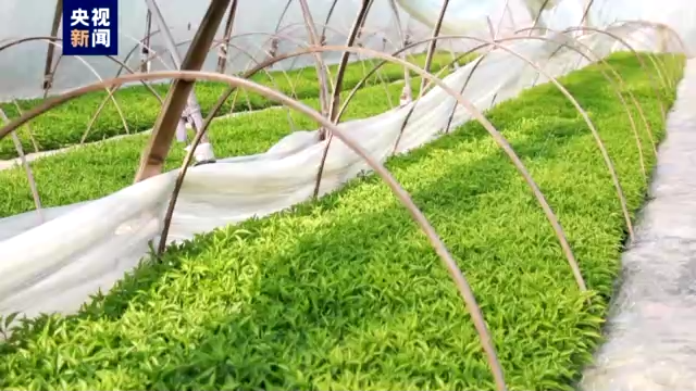 ���ϥА������V���O�H�n�o�ͬ��V�ءL�����֡�