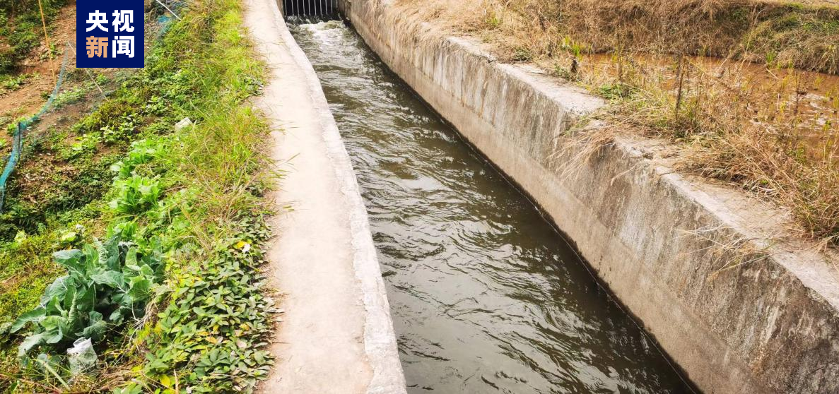 ���ϥА������V���O�H�n�o�ͬ��V�ءL�����֡�