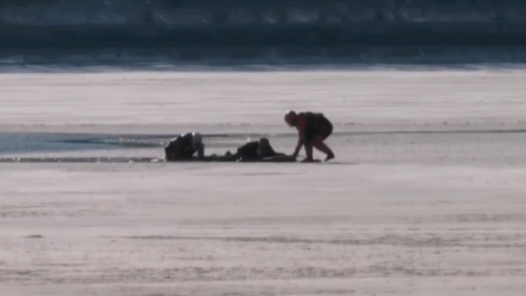 ���n���� | �n���E©�ޓ���^�h�E�ؤߐ�