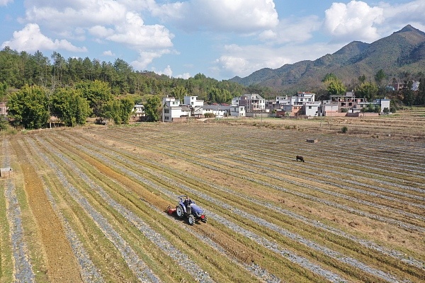 ���~���Ȥ�â�n �k�k�e���Y�Ôe�q�o���}�Ȑ�