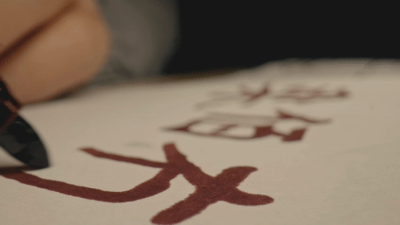 Yʤd913xEäPeޓpvgáVzJղY_fororder_640