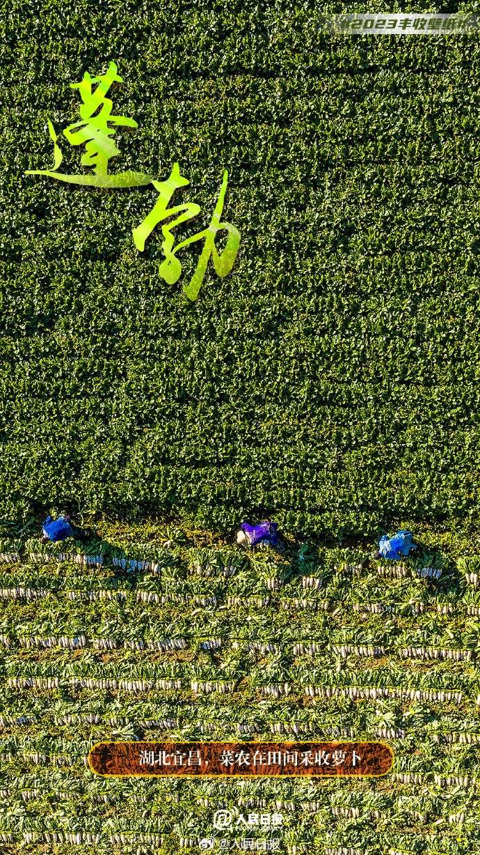 �@�ҭۣO��H���ܣK�ɪ��f