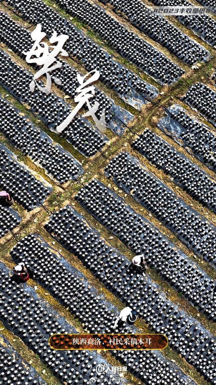 �@�ҭۣO��H���ܣK�ɪ��f