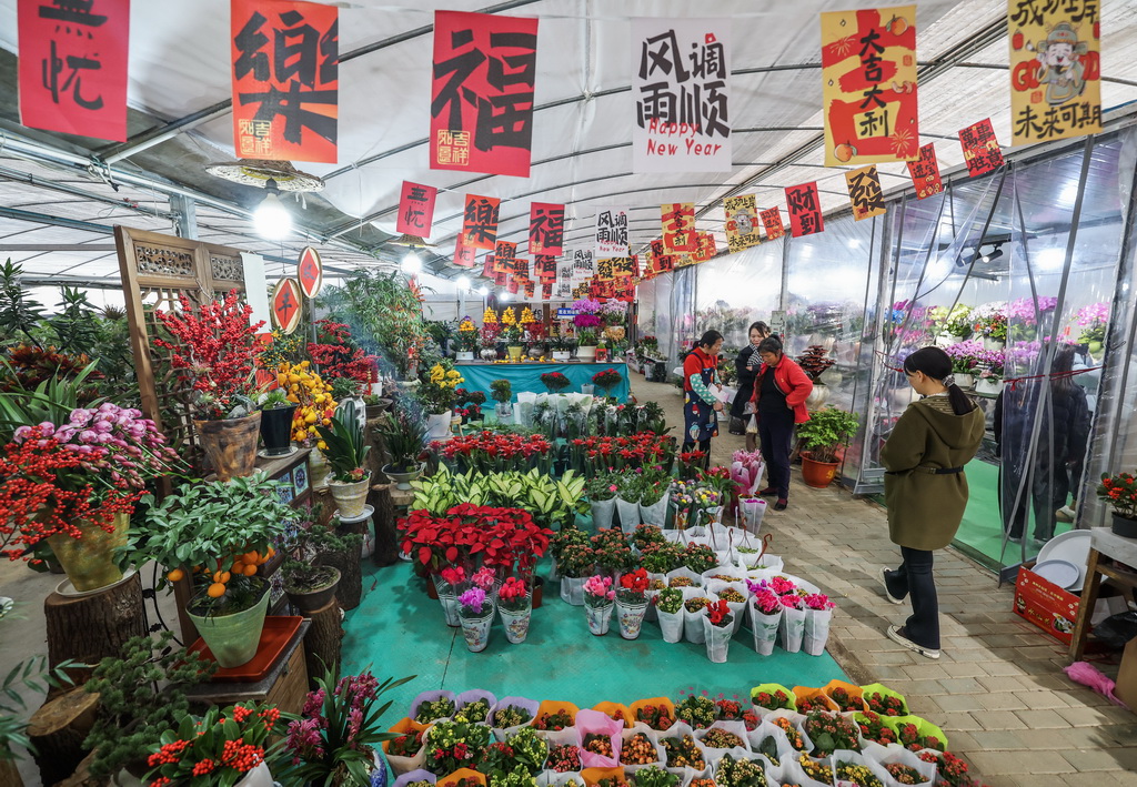 12��23����S��I�ݬ��������J����N�e�d������