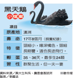 ����ͮ ���W������\ ���W