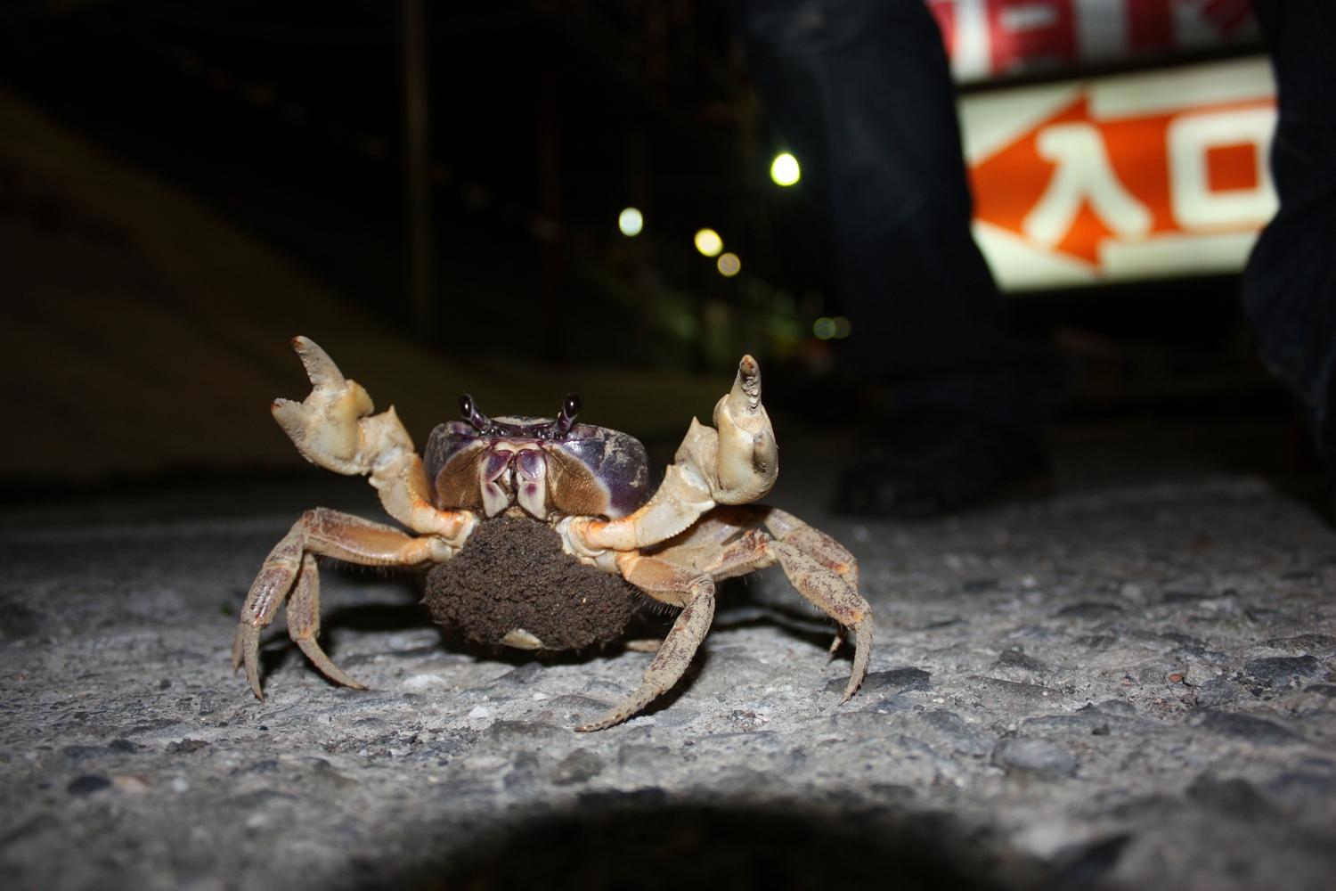 �ʕ[����䤤���s���I