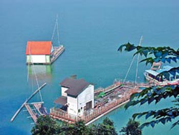 ���ݮt�����e�����ӼW���ެѬKͲ�ΕV����~�`�y�K����B��ʕ[��������W�K��ä�ȼp�L