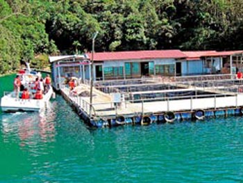 ���ݮt�����e�����ӼW���ެѬKͲ�ΕV����~�`�y�K����B��ʕ[��������W�K��ä�ȼp�L